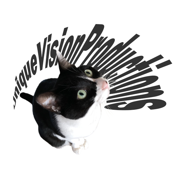 UniqueVisionProductions